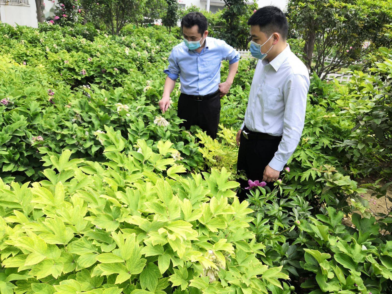 【菏泽疫情最新消息今天新增病例/菏泽疫情最新消息今天新增病例轨迹】-第2张图片