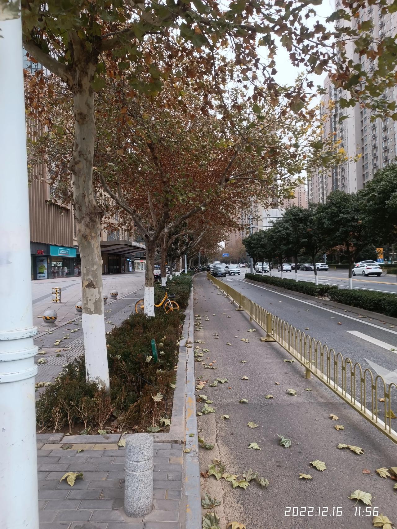 “普兰店区一阳性患者因隐瞒行程被立案调查	” 普兰店刚刚发布？-第2张图片