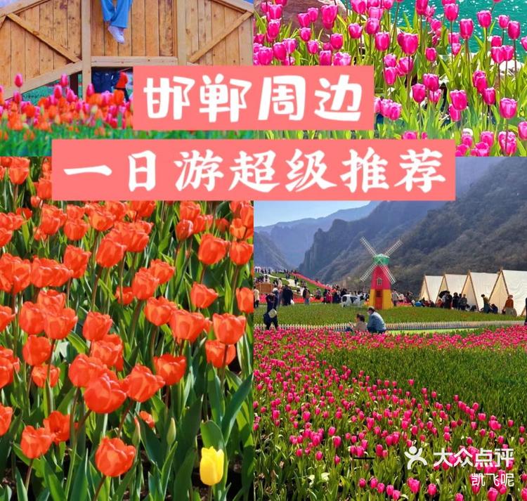 “邯郸2月13日限行” 邯郸2月13日限行尾号？-第2张图片