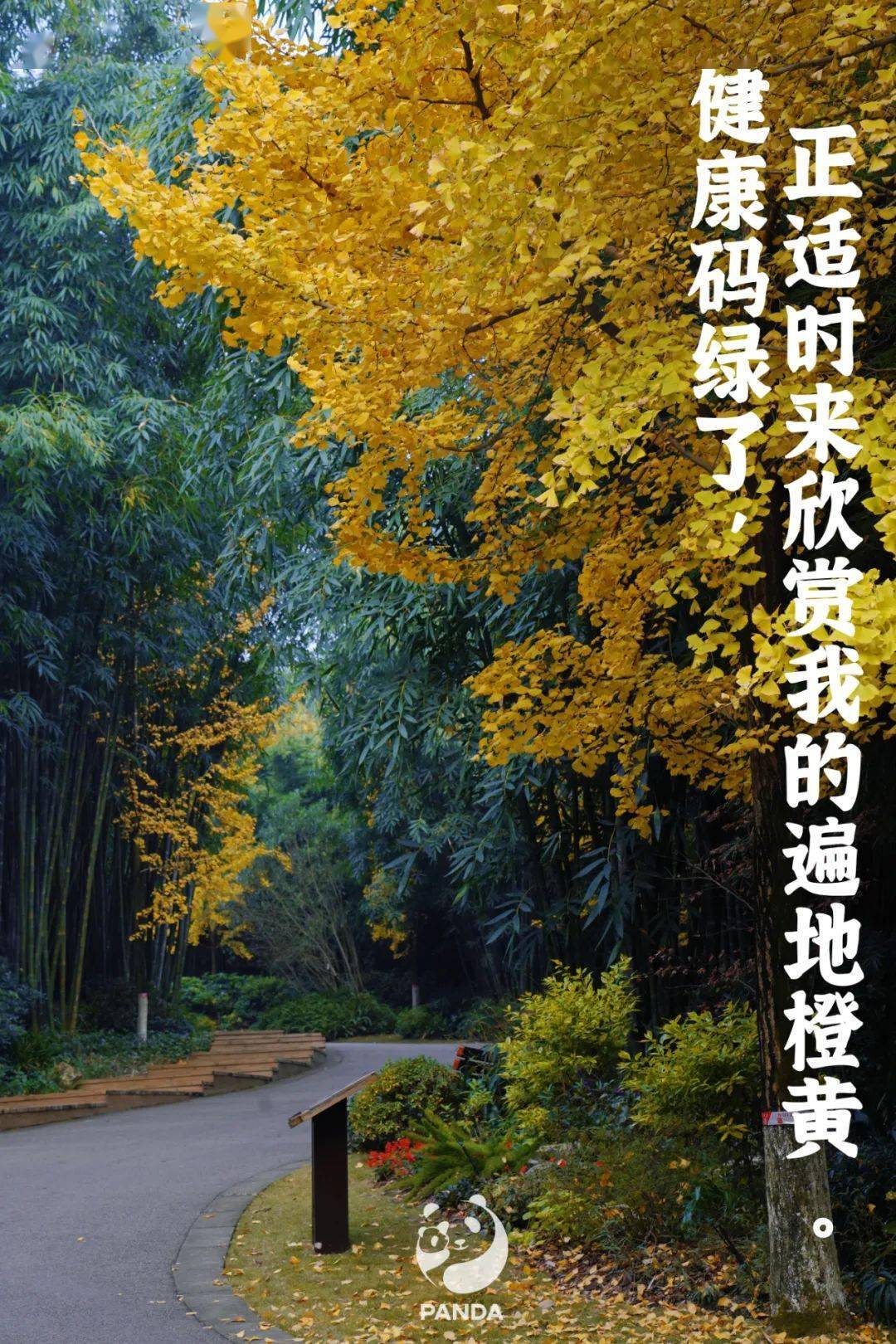 「成都解封」〃成都解封没有压房产证需要几天能解封-第2张图片